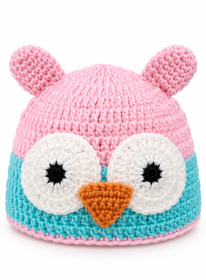 Pink & Aqua Owl Crochet Baby Cap
