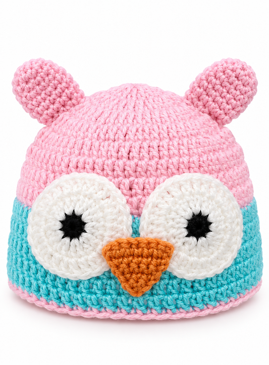 Pink & Aqua Owl Crochet Baby Cap